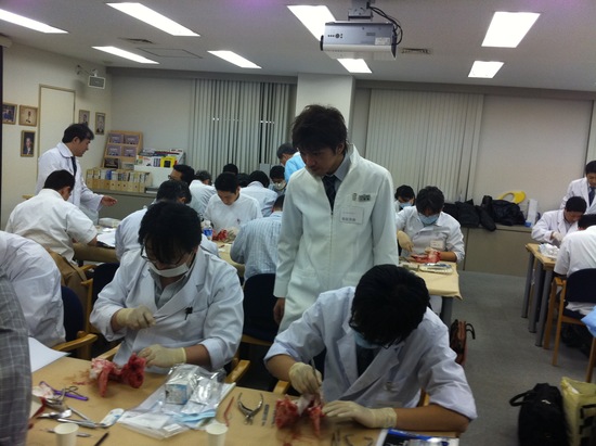 2011 CRCA歯周外科実習コース_a0135326_1631175.jpg