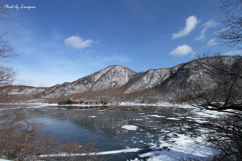c0136926_959060.jpg
