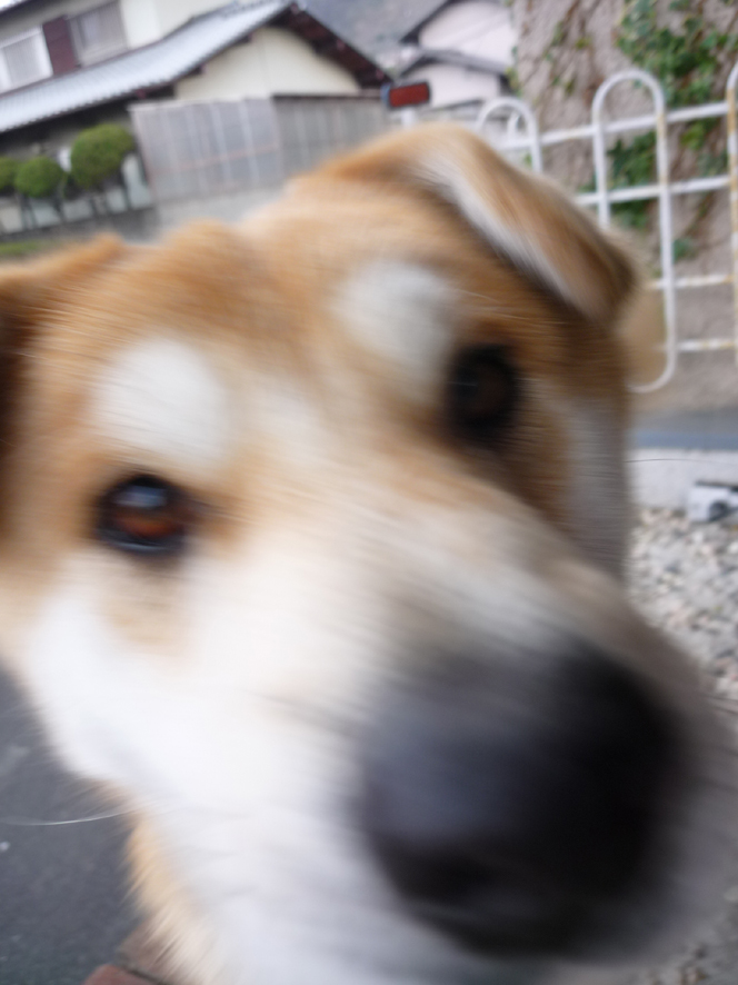 e0200926_855852.jpg
