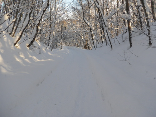 e0026331_224375.jpg