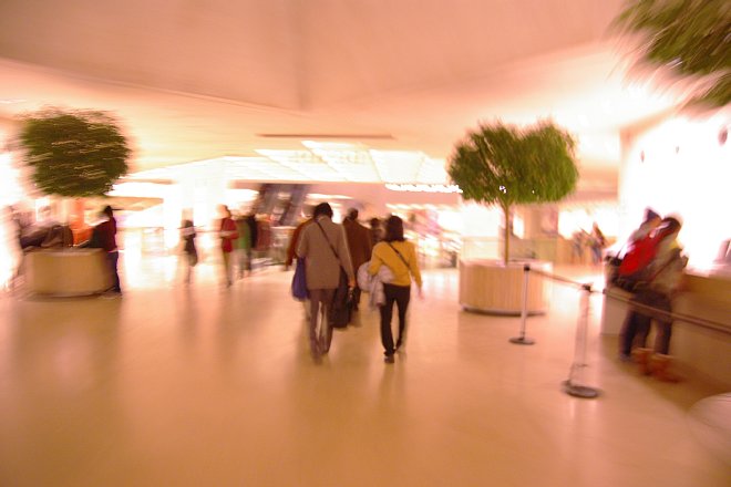 e0171336_510501.jpg