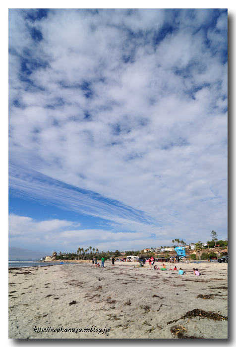 　San Diego　〜 Cardiff State Beach 〜　　写真篇　Part 2_d0069838_9115437.jpg