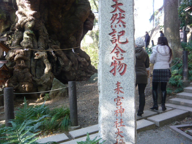 熱海　来宮神社　その2_d0044239_11492893.jpg