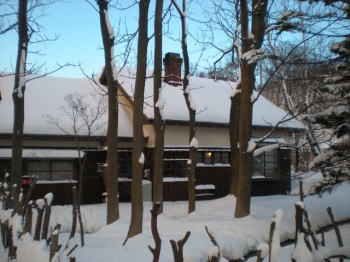 b0001440_13394074.jpg