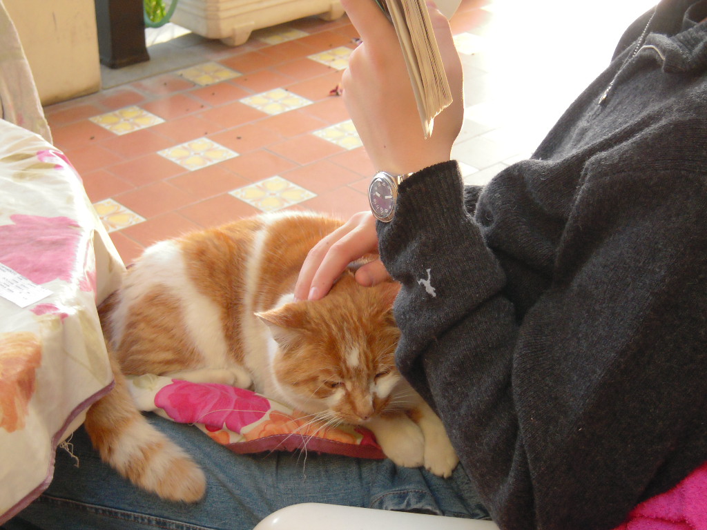 d0170140_0185722.jpg