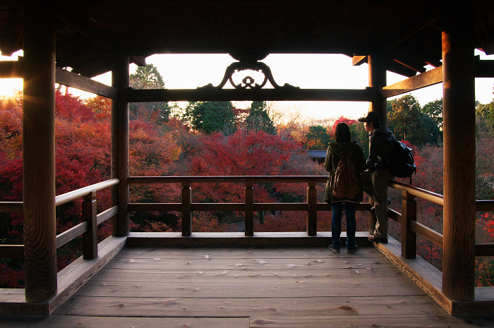 晩秋・東福寺の落葉風景（東福寺通天橋　後編）_f0155048_2056176.jpg