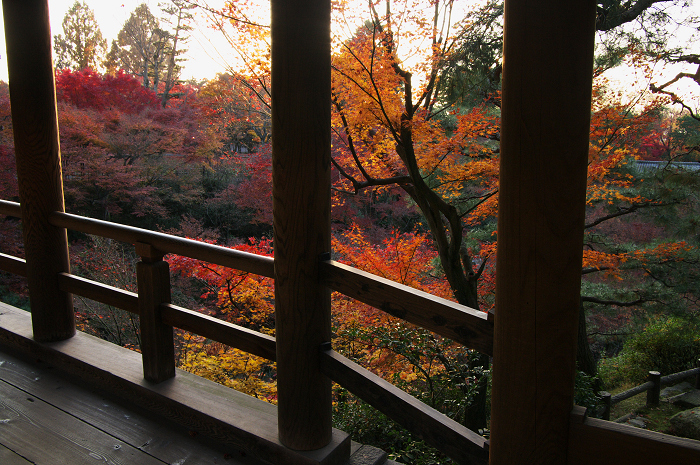 晩秋・東福寺の落葉風景（東福寺通天橋　後編）_f0155048_20562160.jpg