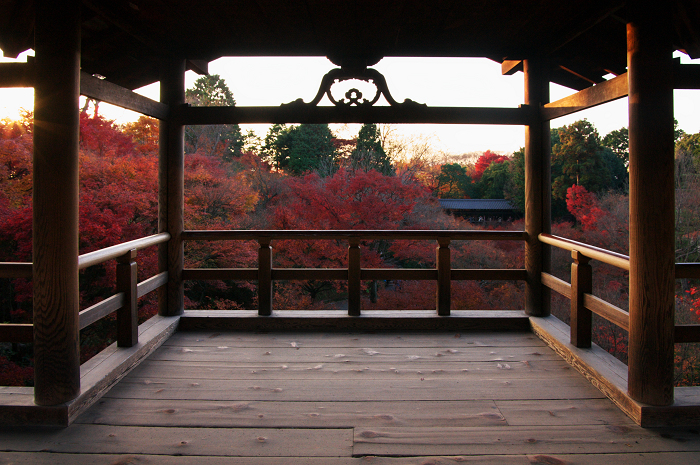 晩秋・東福寺の落葉風景（東福寺通天橋　後編）_f0155048_20572136.jpg