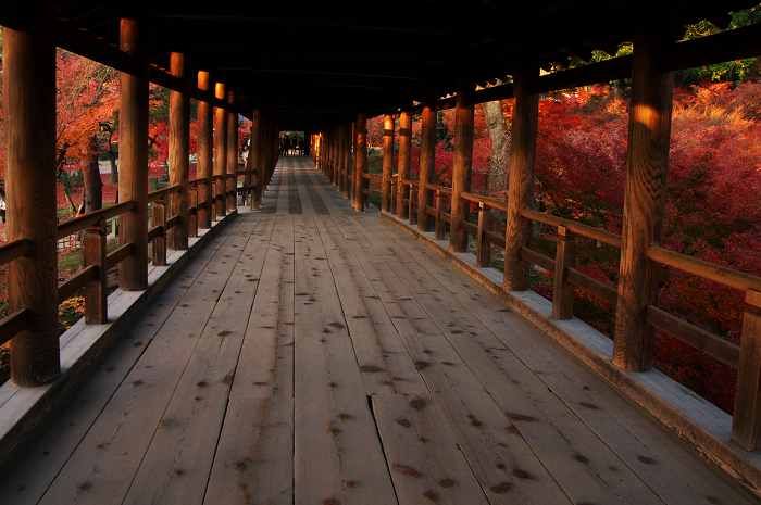 晩秋・東福寺の落葉風景（東福寺通天橋　後編）_f0155048_20574188.jpg