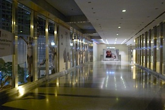 b0025850_23384871.jpg