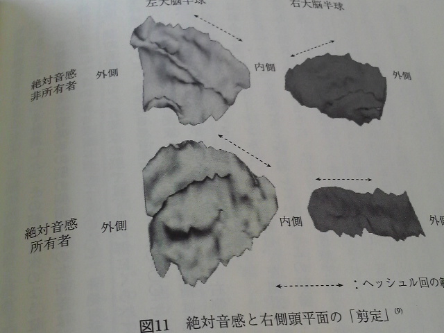 c0185356_11361716.jpg