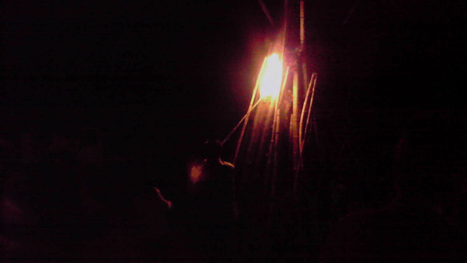 f0160860_1041327.jpg