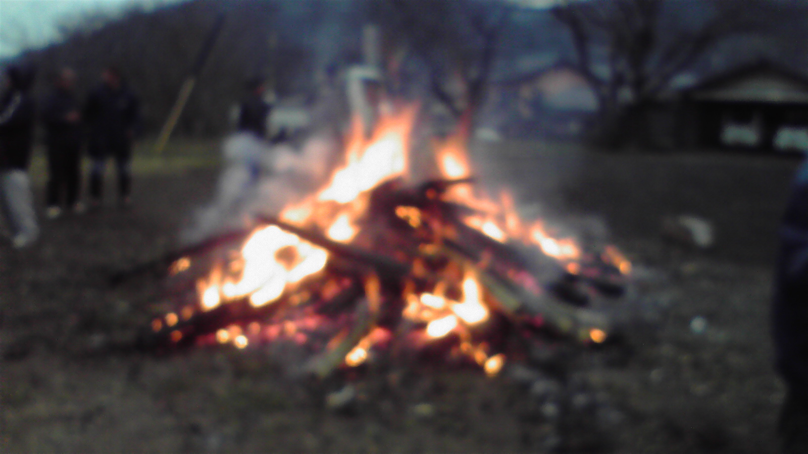 f0160860_10574128.jpg