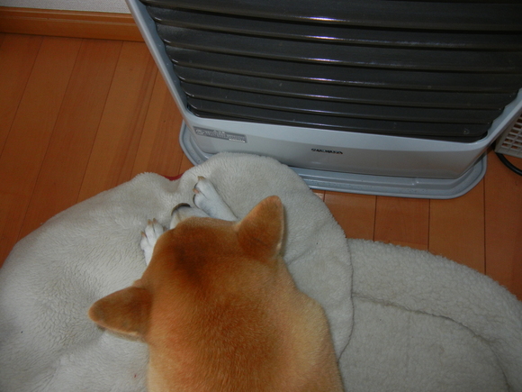 2011年1月11日(火)健康って謙虚じゃないと!_f0060461_2015935.jpg