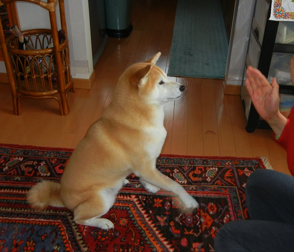 2011年1月11日(火)健康って謙虚じゃないと!_f0060461_207328.jpg