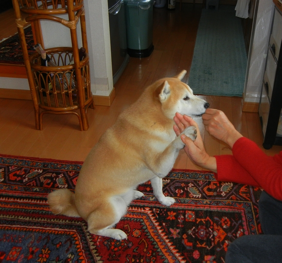 2011年1月11日(火)健康って謙虚じゃないと!_f0060461_2093411.jpg