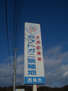 e0197164_95249.jpg