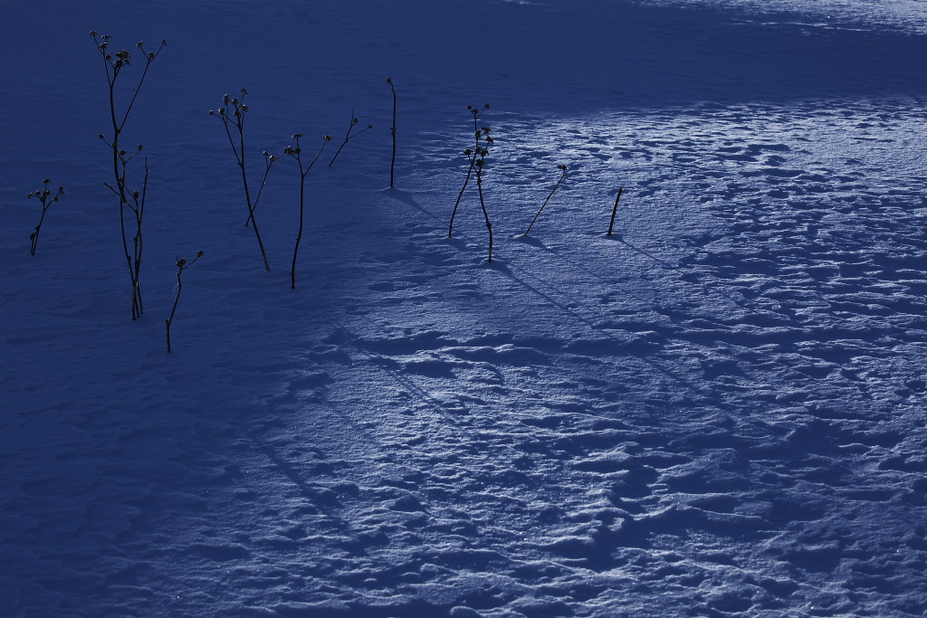 f0171065_22364852.jpg