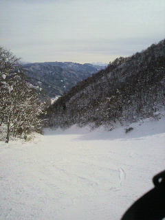 b0141167_23373553.jpg