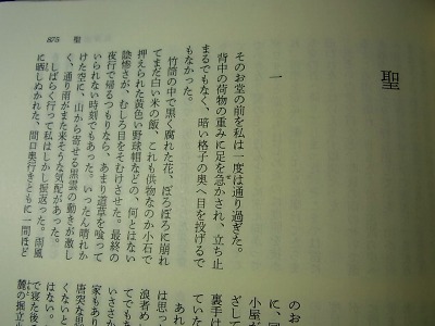 『聖』　古井由吉_d0140867_2132636.jpg