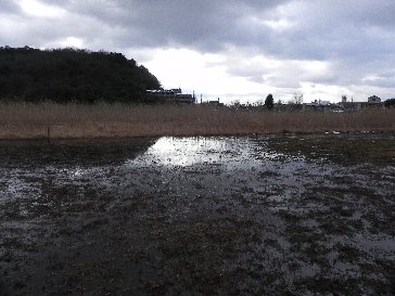 京都奈良怪異落穂拾い(1)道成寺の鐘、深泥池_b0116271_1291982.jpg