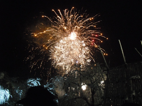 2011年もよろしくです♪_b0099274_162273.jpg