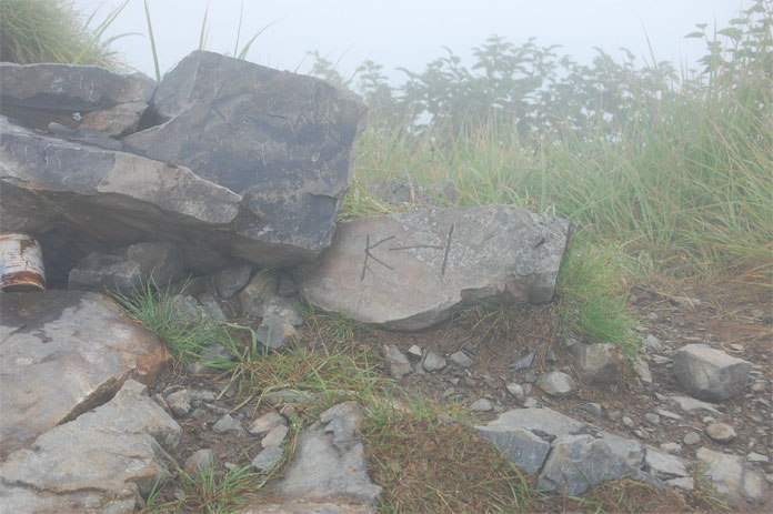 霞沢岳　08/08/14_c0220374_10285549.jpg