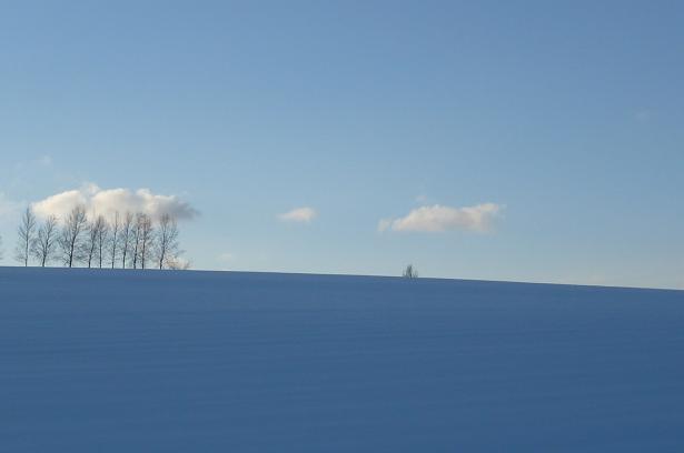 c0175679_19453528.jpg