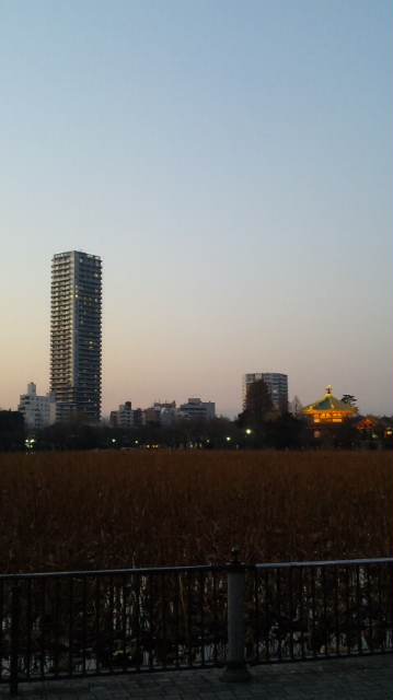 ～東京神社・仏閣・寺巡りツアー～_e0188079_8243151.jpg