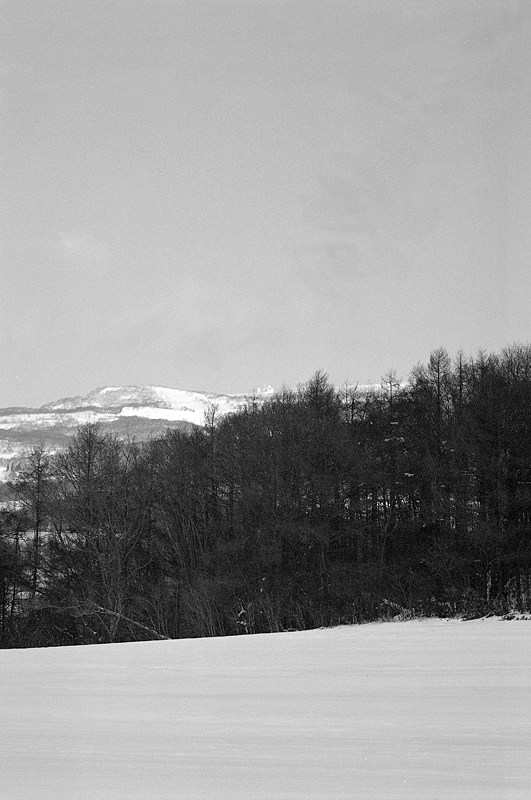 a0141385_75084.jpg