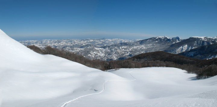 e0203793_18112.jpg