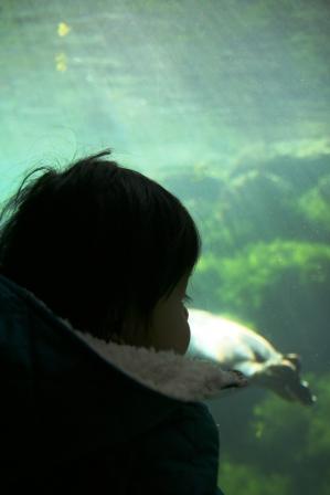 e0166094_15112067.jpg