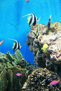 e0166094_1516020.jpg