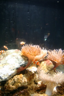 e0166094_15164870.jpg