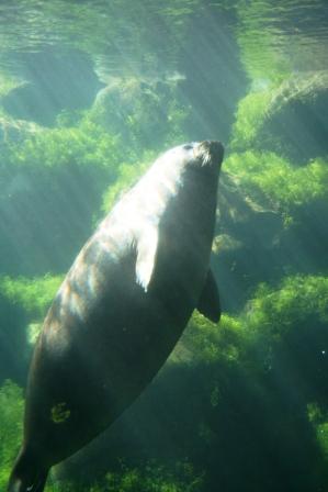 e0166094_15204214.jpg
