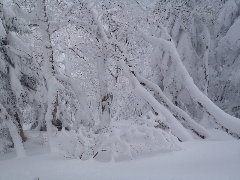 c0147398_12424034.jpg