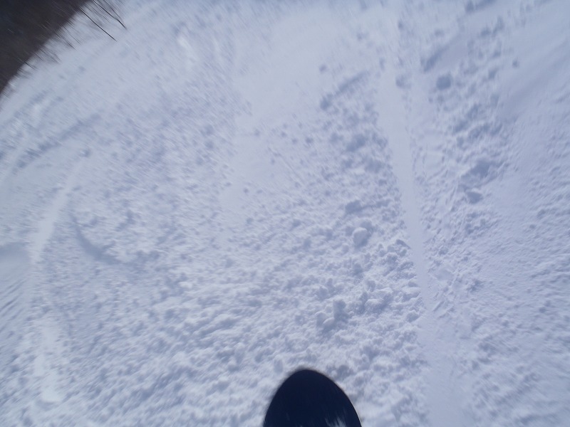 c0147398_15463313.jpg