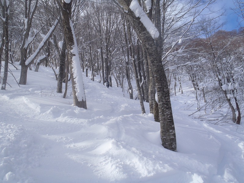 c0147398_1548058.jpg