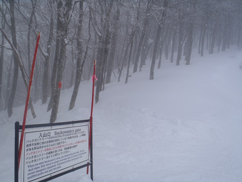 c0147398_15503059.jpg