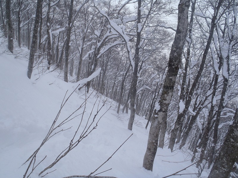 c0147398_15512543.jpg