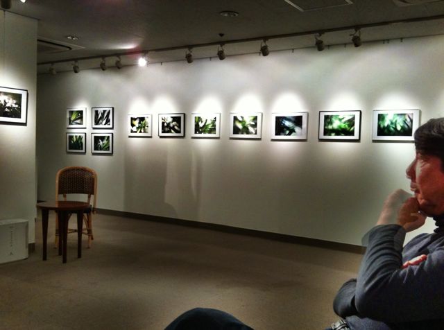 ルーフギャラリー写真展_f0236202_7224299.jpg