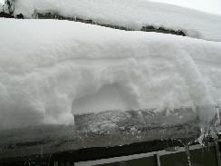f0055803_1435364.jpg