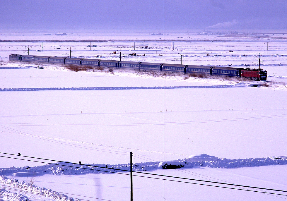 雪の朝_b0190710_23462124.jpg