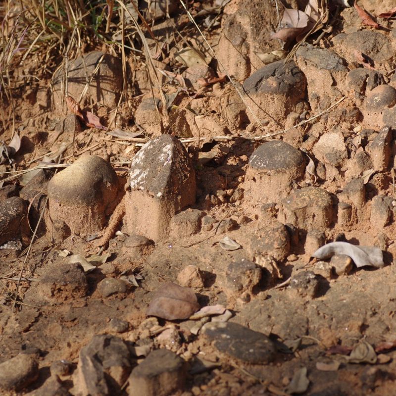e0142611_23505.jpg