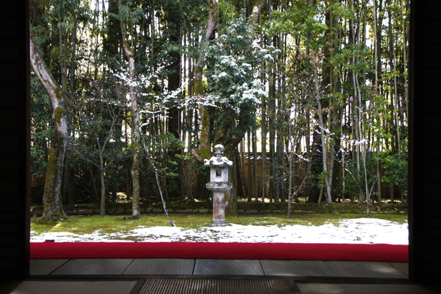 高桐院淡雪_e0048413_943011.jpg