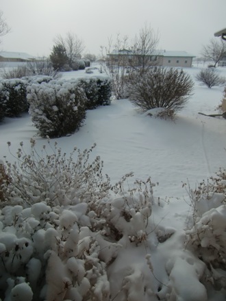 f0094513_5212957.jpg