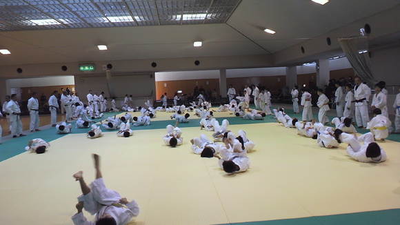 f0063216_851453.jpg