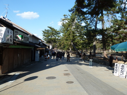 b0174217_0444561.jpg