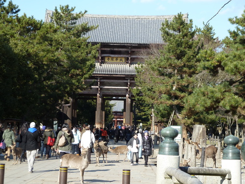 b0174217_19289.jpg