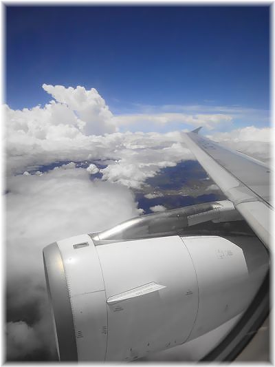 d0149617_14528.jpg